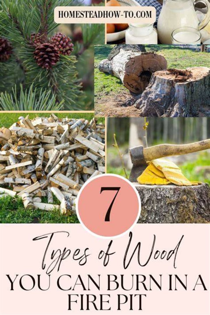 Can you burn tree branches in a fire pit?