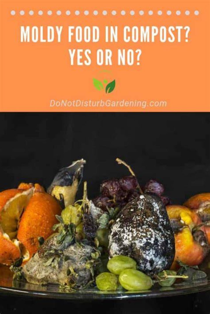 Can you put moldy food in worm compost?