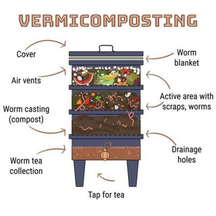 Do worm farms need drainage holes?