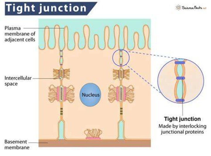 How do you deal with junctions?
