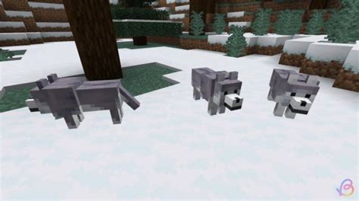 How do you spawn a husky in Minecraft?