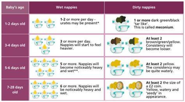 How long can newborn wear dirty diaper?