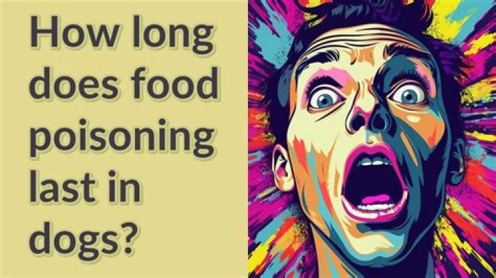 How long does poisoning last in dogs?