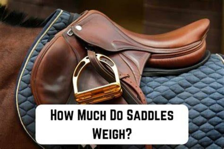 How much do exercise riders weigh?