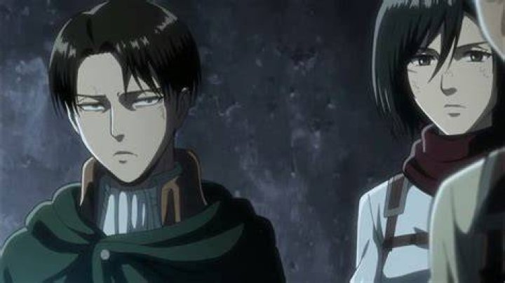 Is Levi Mikasa's brother?