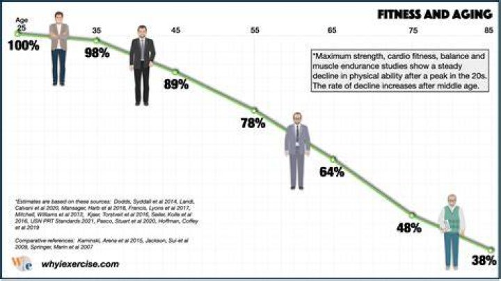 What age does physical decline begin?