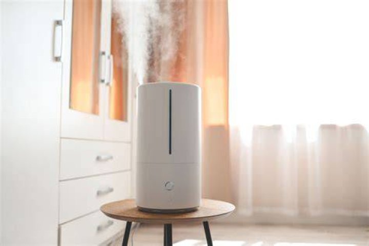What does a humidifier do when sick?