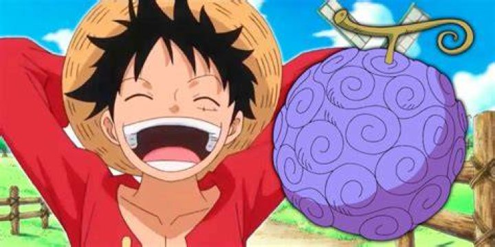 What is Luffy's actual Devil Fruit?