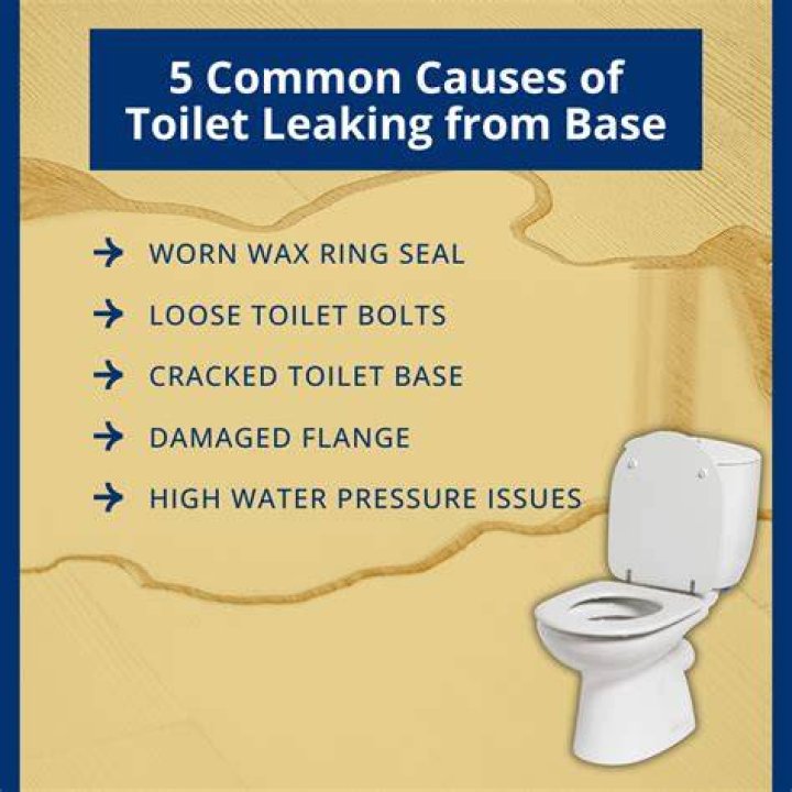 What is the most common toilet leak?