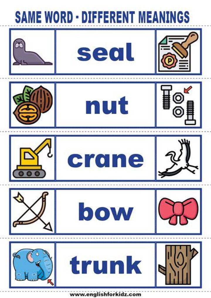 What words are spelled the same but have different meanings?